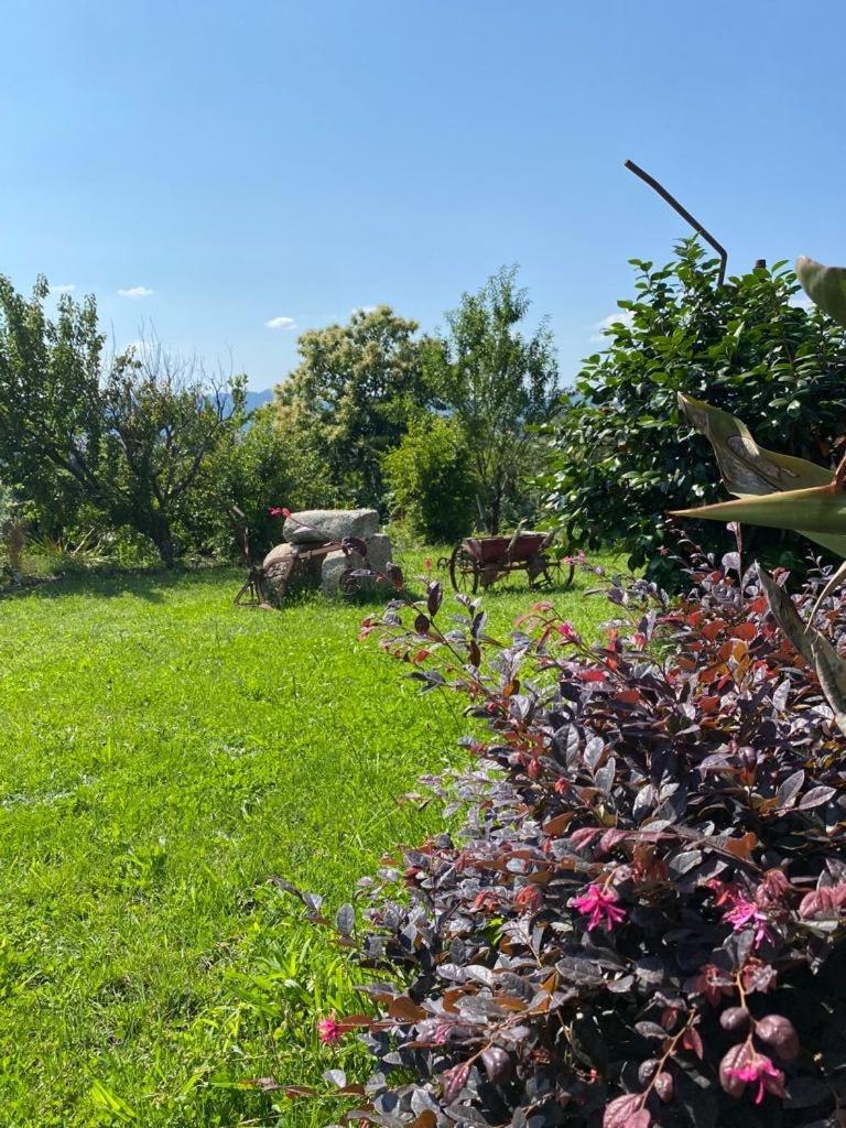 Hotel Quinta Da Tulha By Vimahotels Guimarães Zewnętrze zdjęcie